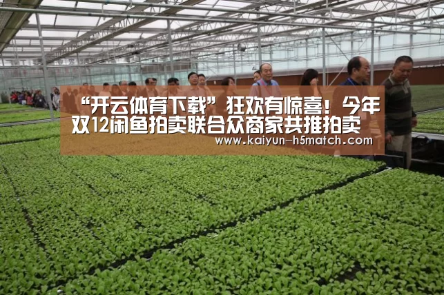 开云体育下载