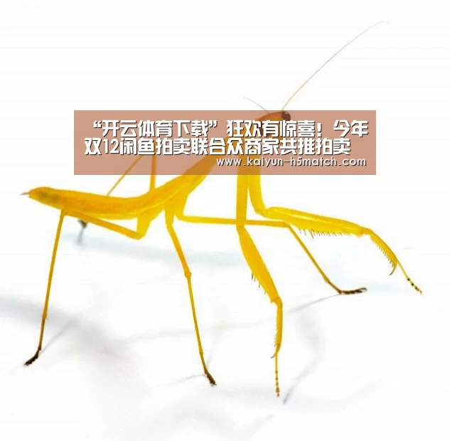 开云体育下载